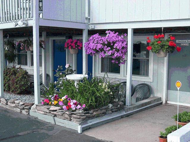 经济房, Sea Whale Motel