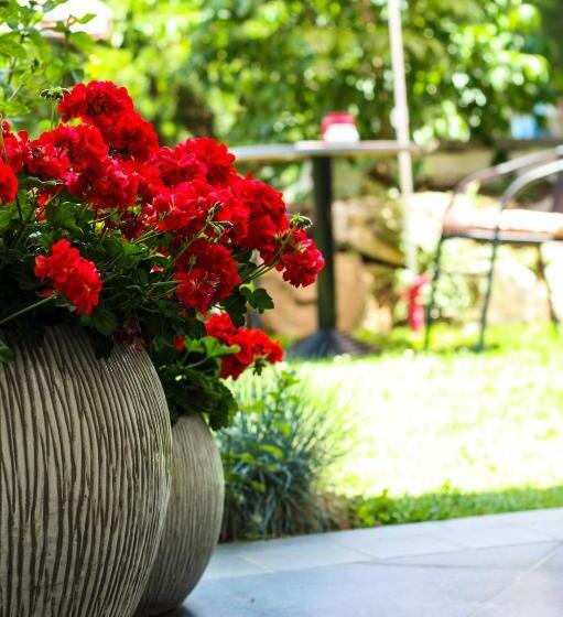 가든 전망 스위트, A Bascule Bed And Breakfast Maastricht
