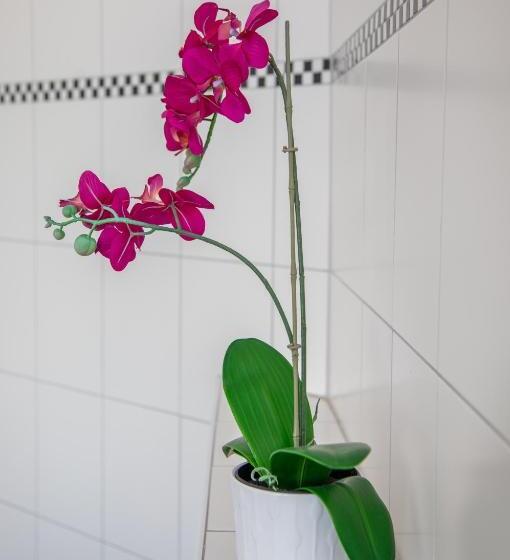 バスタブ付きスタンダードルーム, Auszeit Das Hotel Schweitenkirchen