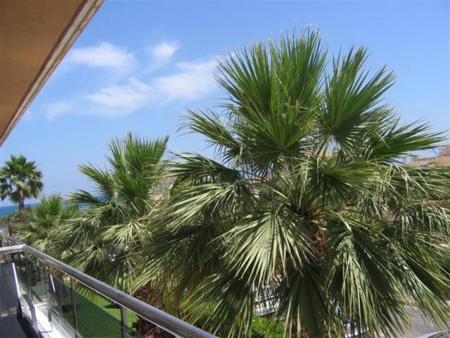 带1个卧室的带阳台的公寓, Front Line           Primera Línea           Apartments In Playa Flamenca