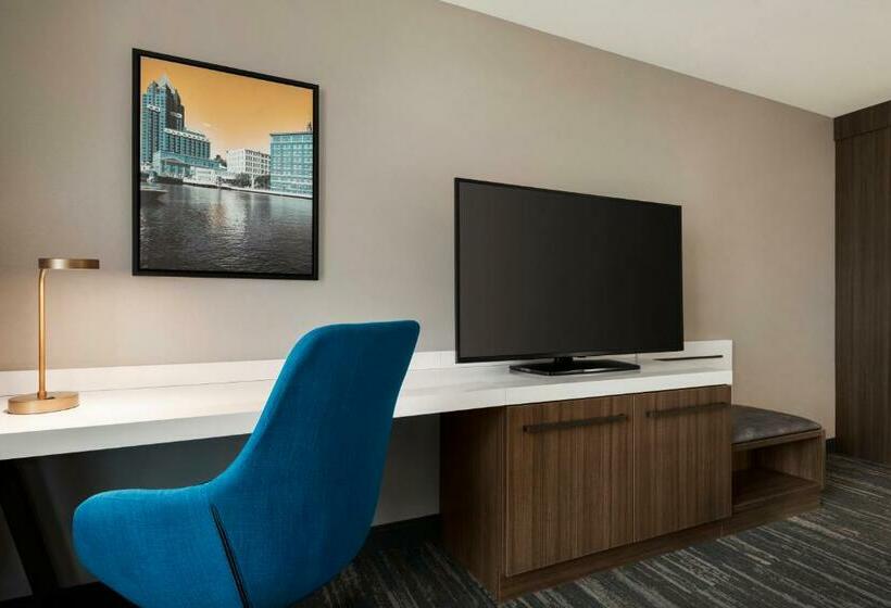 غرفة قياسية لذوى الاحتياجات الخاصة, Hilton Garden Inn Milwaukee Brookfield Conference Center, Wi