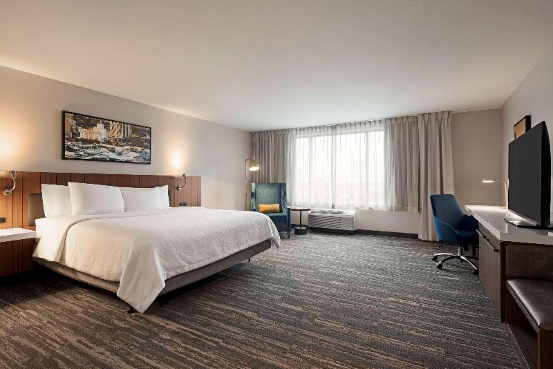Стандартный Номер Кровать Кинг, Hilton Garden Inn Milwaukee Brookfield Conference Center, Wi