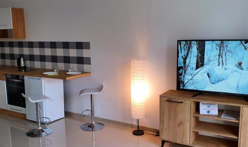 １ベッドルームアパートメント, Zielone Apartamenty Katowice Chorzów