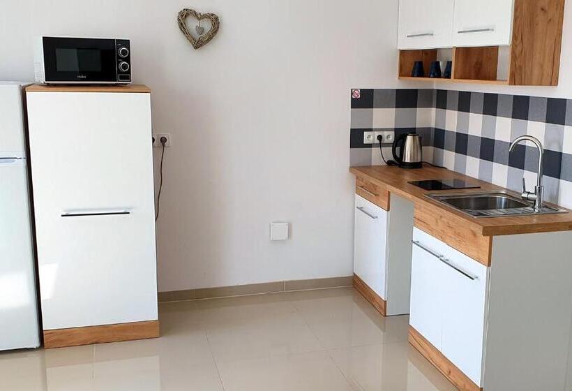 דירת חדר סופריור, Zielone Apartamenty Katowice Chorzów