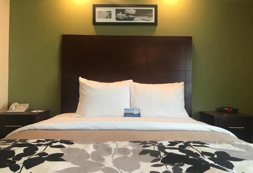 غرفة قياسية, Baymont By Wyndham Flat Rock