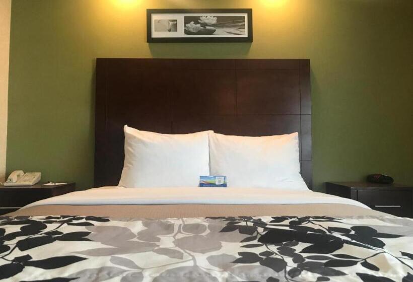 غرفة قياسية, Baymont By Wyndham Flat Rock