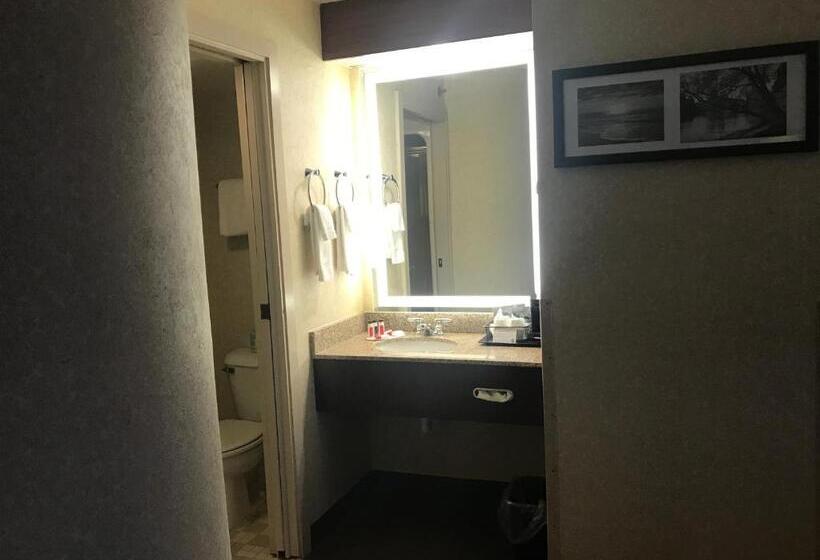 غرفه قياسيه سريرين مزدوجين, Baymont By Wyndham Flat Rock