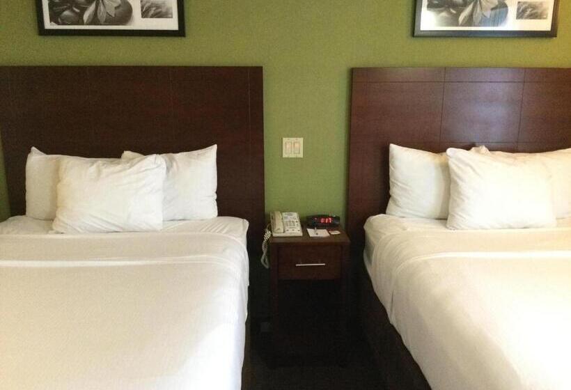 غرفه قياسيه سريرين مزدوجين, Baymont By Wyndham Flat Rock