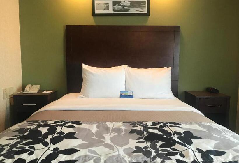 إستوديو قياسى, Baymont By Wyndham Flat Rock