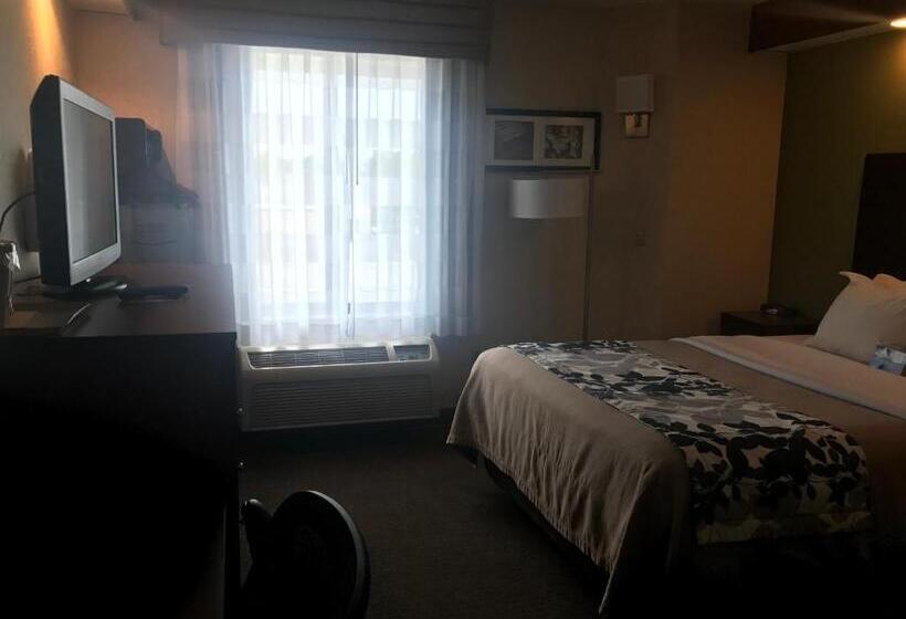 غرفة ديلوكس لذوى الاحتياجات الخاصة, Baymont By Wyndham Flat Rock