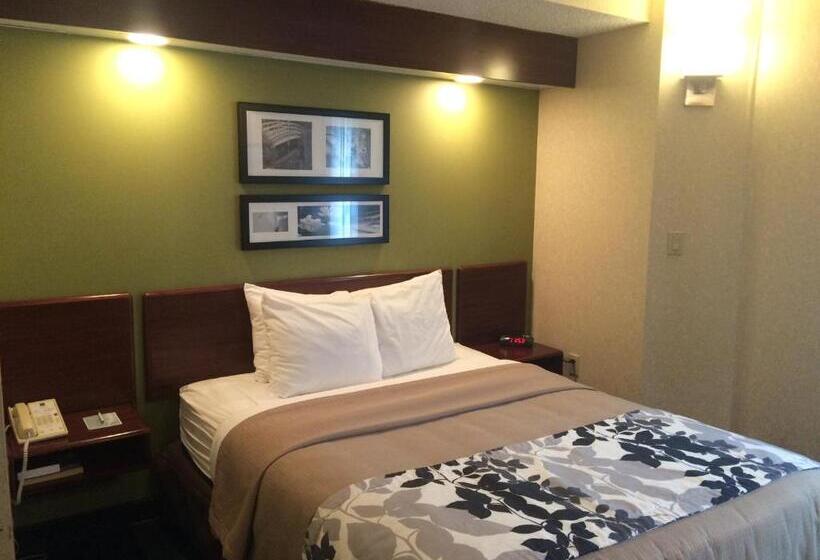 غرفة ديلوكس لذوى الاحتياجات الخاصة, Baymont By Wyndham Flat Rock