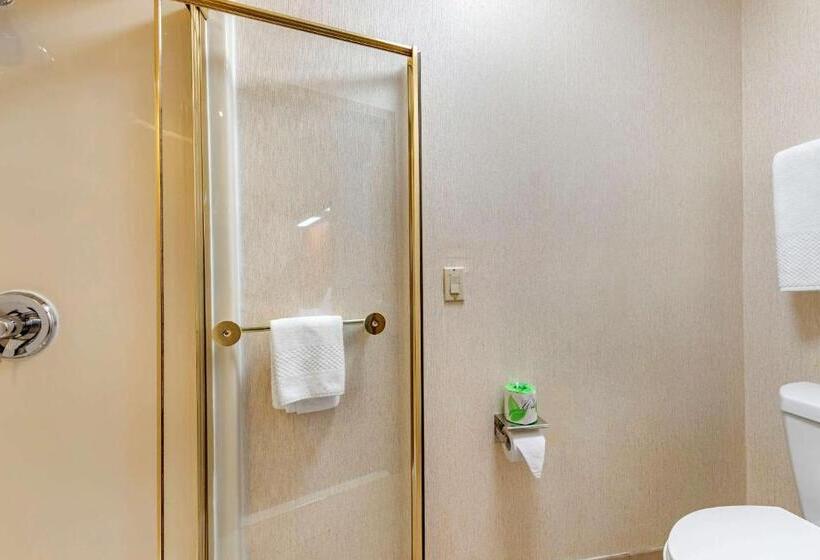 キングサイズベッドのスタンダードルーム, Econo Lodge North Academy