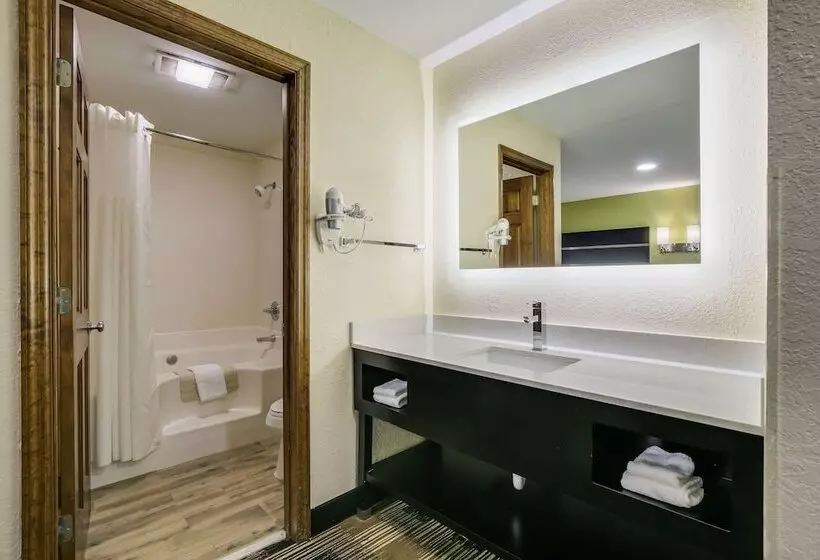 ハイドロマッサージバス付きスイート, Quality Inn & Suites Mt Chalet