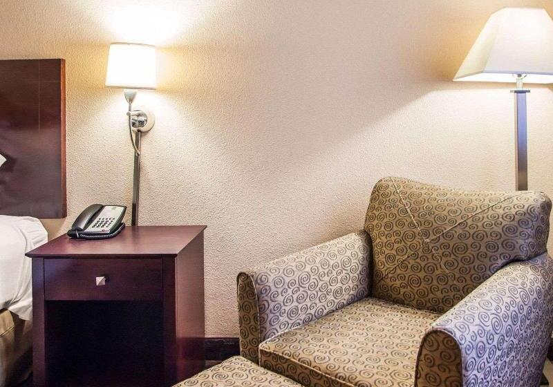 キングサイズベッドのスタンダードルーム, Quality Inn & Suites