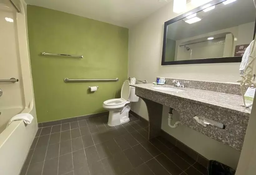 اتاق استاندارد با 2 تخت دوبل, Sleep Inn Atlanta Airport
