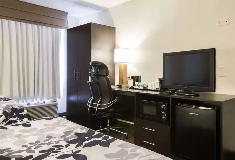 اتاق استاندارد با 2 تخت دوبل, Sleep Inn Atlanta Airport