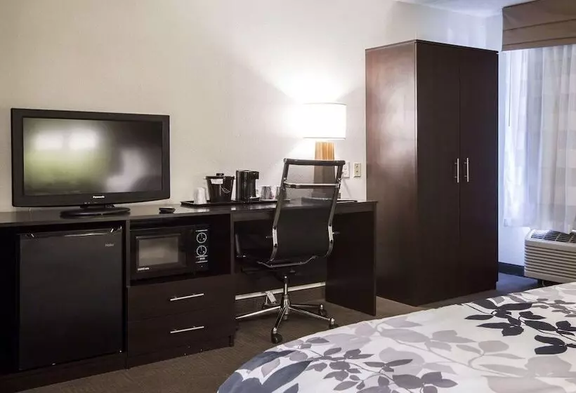 اتاق استاندارد با 2 تخت دوبل, Sleep Inn Atlanta Airport