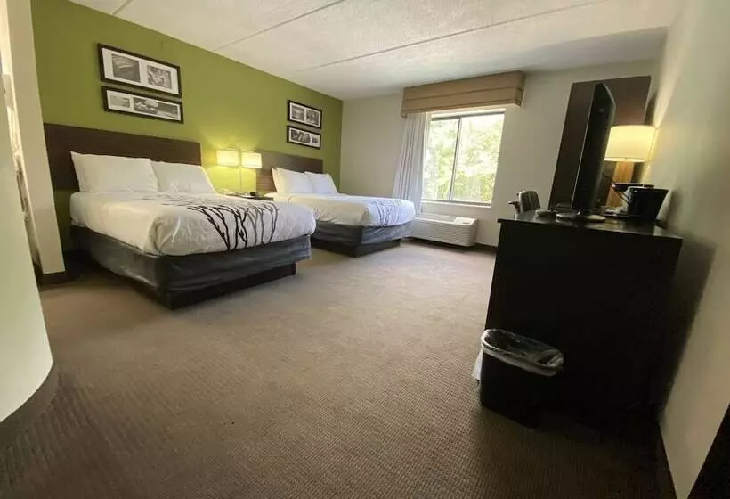 اتاق استاندارد با 2 تخت دوبل, Sleep Inn Atlanta Airport