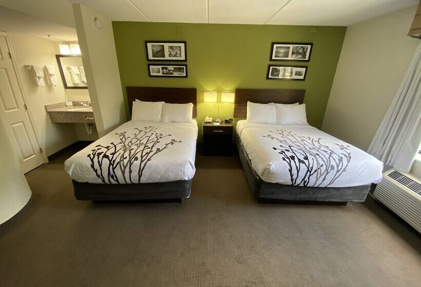Номер Стандарт 2 Двуспальные Кровати, Sleep Inn Atlanta Airport
