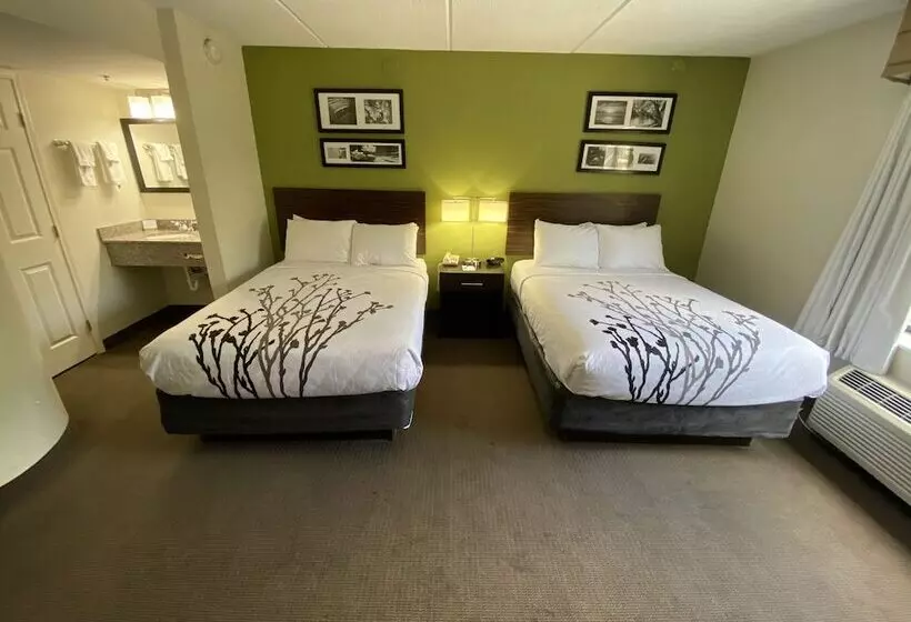 اتاق استاندارد با 2 تخت دوبل, Sleep Inn Atlanta Airport