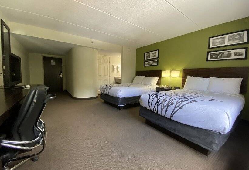 Номер Стандарт 2 Двуспальные Кровати, Sleep Inn Atlanta Airport