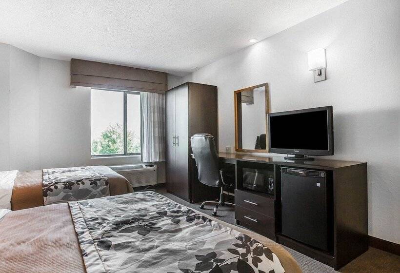 带2个双人床的标准工作室, Sleep Inn Bessemer Helena