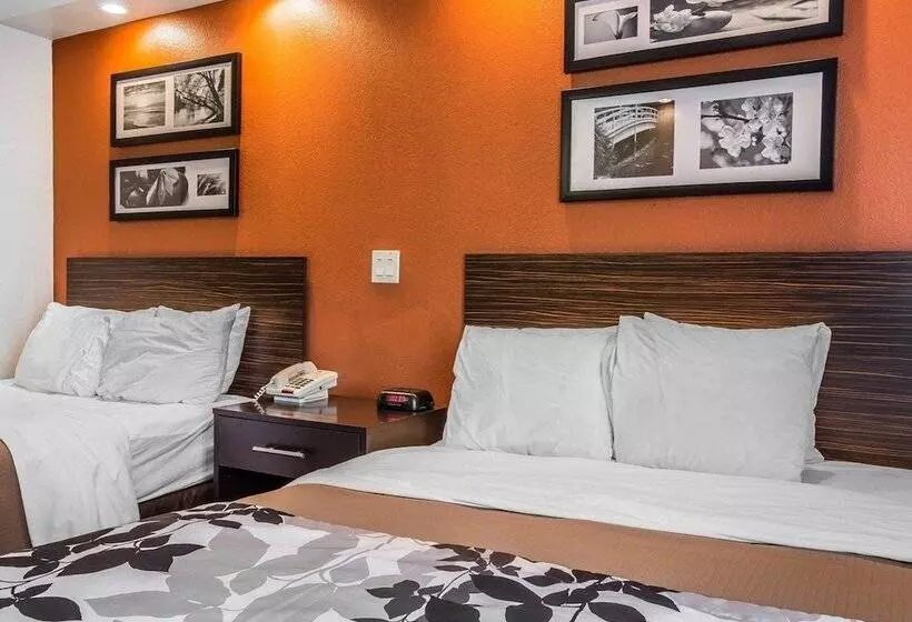 ２ダブルベッドのスタンダードルーム, Sleep Inn Bessemer Helena