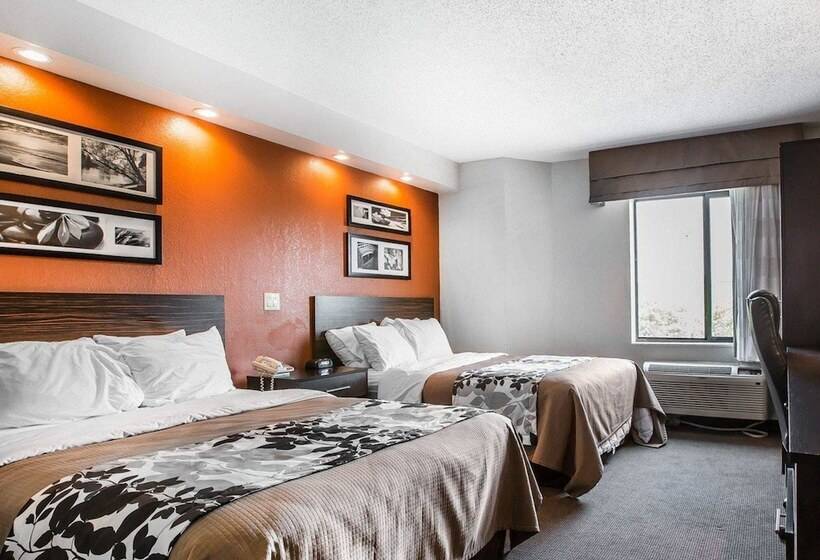 带2个双人床的标准工作室, Sleep Inn Bessemer Helena