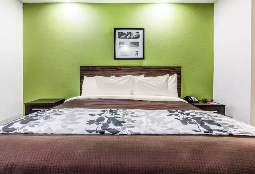 سوئیت برای معلولان, Travelodge By Wyndham Flowood