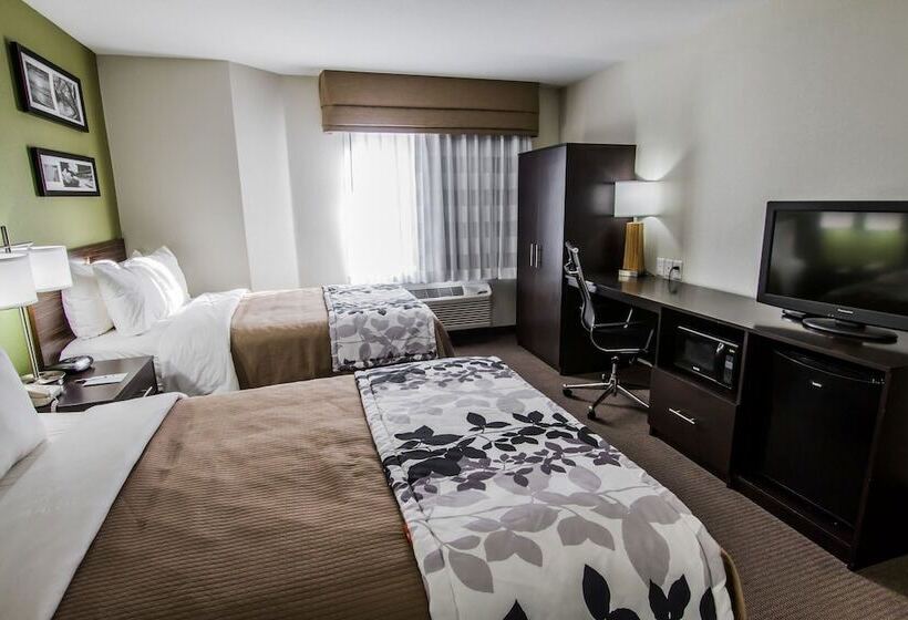 غرفه قياسيه سريرين مزدوجين, Sleep Inn Gallup