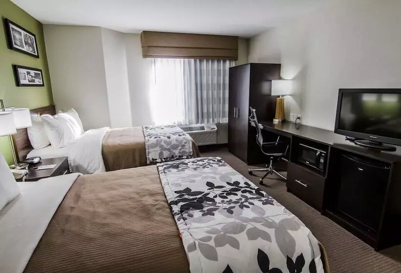 ２ダブルベッドのスタンダードルーム, Sleep Inn Gallup