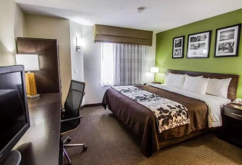 身障者適用キングサイズベッドルーム, Sleep Inn Gallup