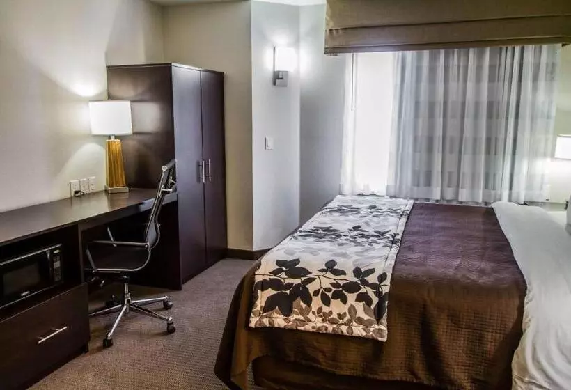 身障者適用キングサイズベッドルーム, Sleep Inn Gallup
