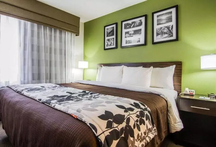 身障者適用キングサイズベッドルーム, Sleep Inn Gallup