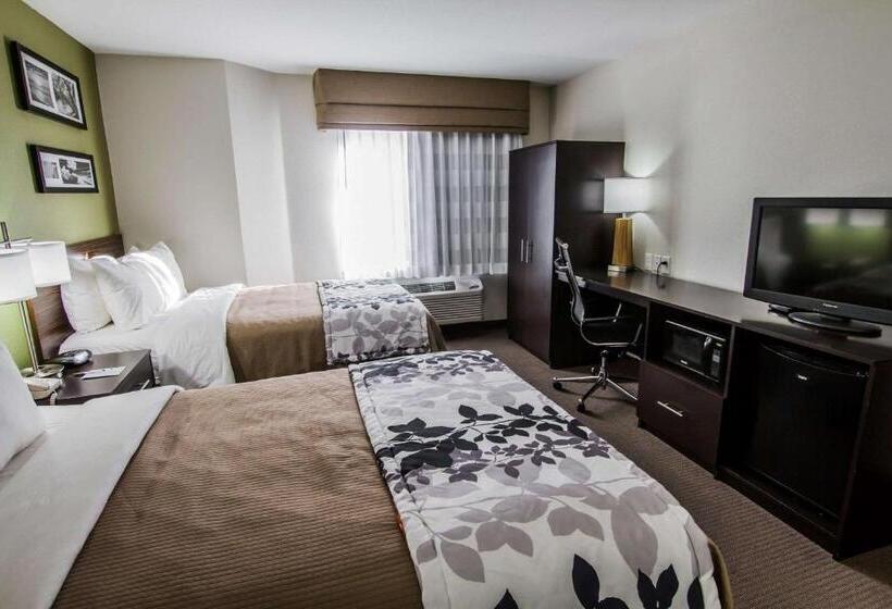 غرفه قياسيه سريرين مزدوجين, Sleep Inn Gallup