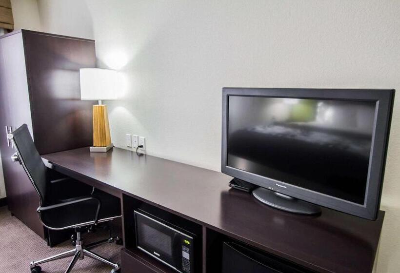 غرفة قياسية سرير كينج, Sleep Inn Gallup