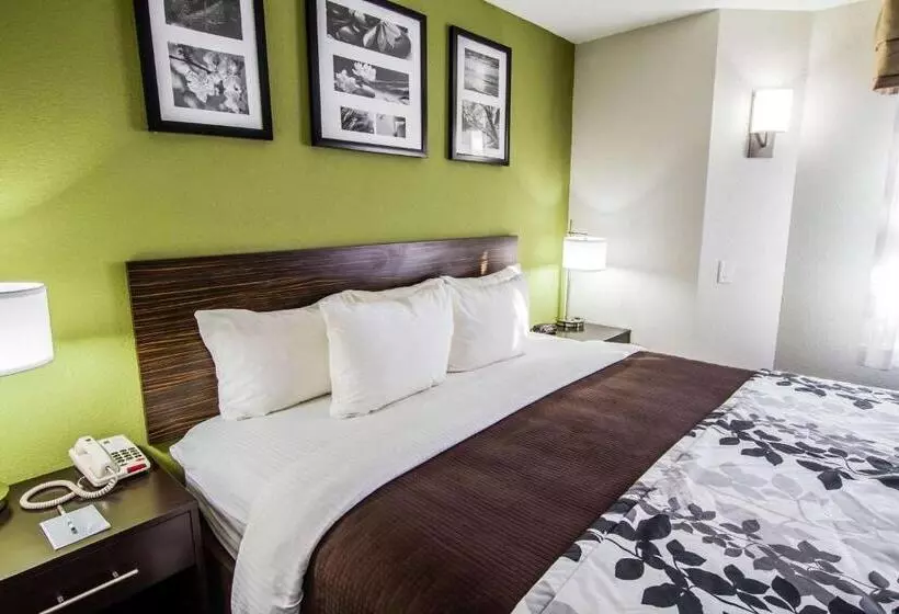 キングサイズベッドのスタンダードルーム, Sleep Inn Gallup