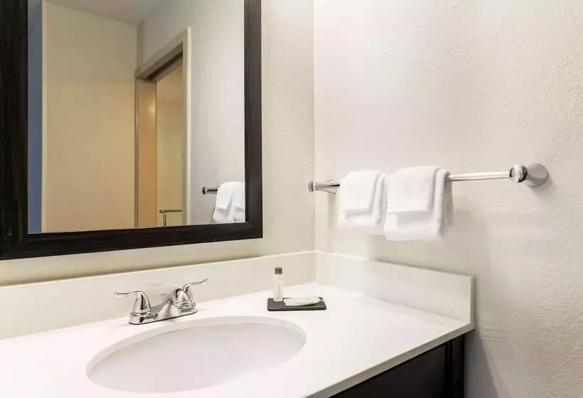 اتاق استاندارد با 2 تخت دوبل, Sleep Inn Midway Airport