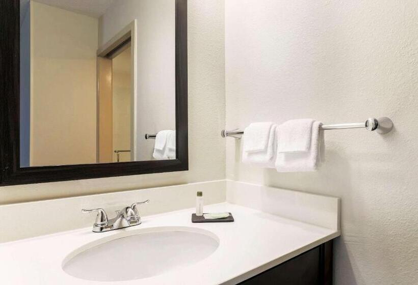 غرفة قياسية لذوى الاحتياجات الخاصة, Sleep Inn Midway Airport