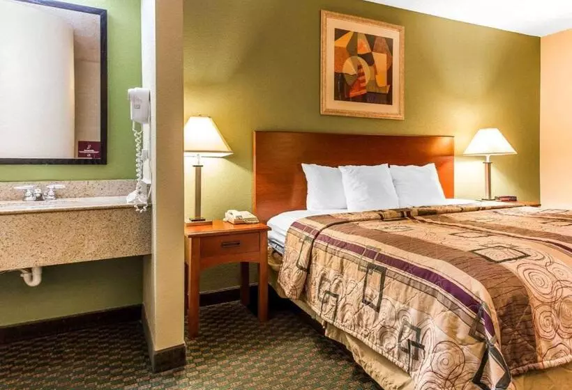 اتاق استاندارد با تخت بزرگ, Sleep Inn Near Ft. Jackson
