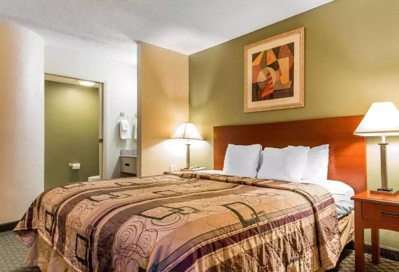 اتاق استاندارد با تخت بزرگ, Sleep Inn Near Ft. Jackson
