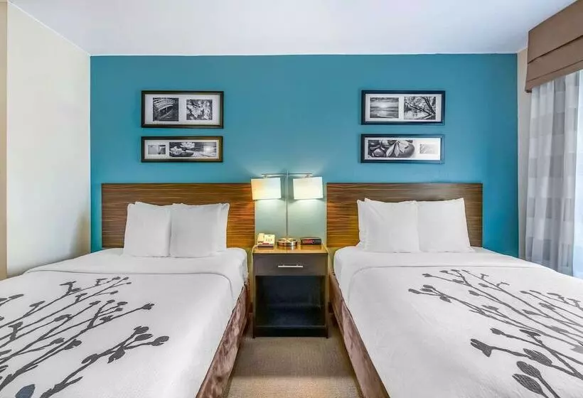 ２ダブルベッドのスタンダードルーム, Sleep Inn Near Washington State Line