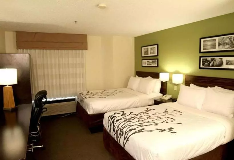 ２ダブルベッドのスタンダードルーム, Sleep Inn Sandusky