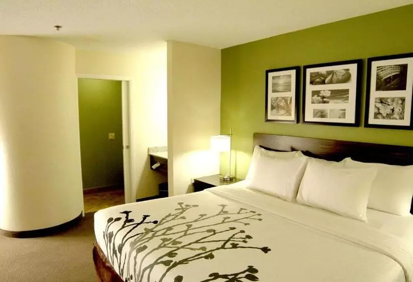 キングサイズベッドのスタンダードルーム, Sleep Inn Sandusky