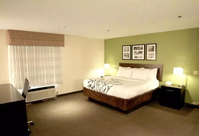 キングサイズベッドのスタンダードルーム, Sleep Inn Sandusky