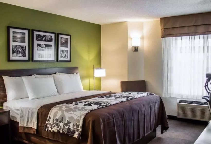 キングサイズベッドのスタンダードルーム, Sleep Inn Sandusky