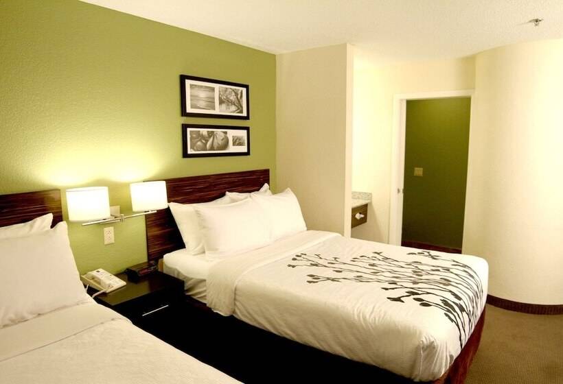 ２ダブルベッドのスタンダードルーム, Sleep Inn Sandusky
