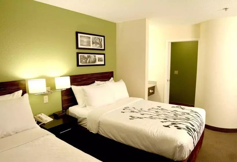 ２ダブルベッドのスタンダードルーム, Sleep Inn Sandusky