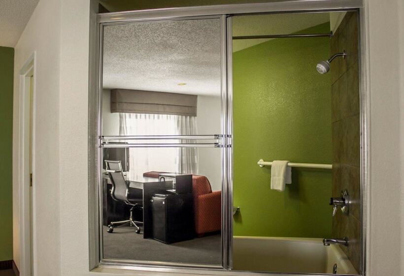 Номер Стандарт 2 Двуспальные Кровати, Sleep Inn Sandusky