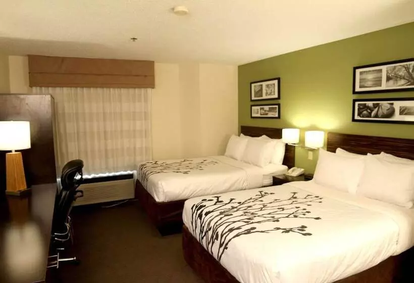 ２ダブルベッドのスタンダードルーム, Sleep Inn Sandusky